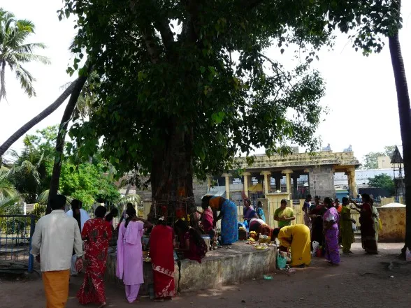 baby temple